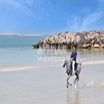 Suaood abu sultan sur yala.fm